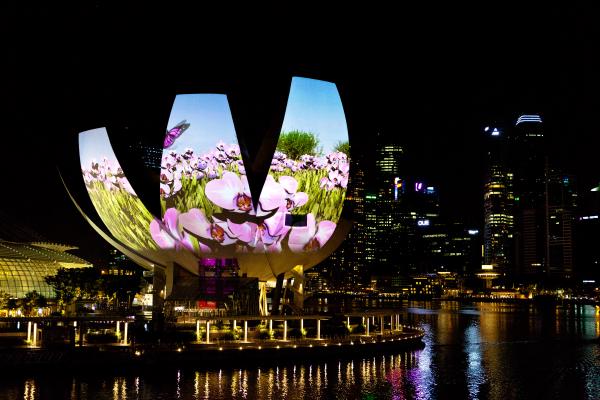 The Lotus, Marina Bay, Singapore