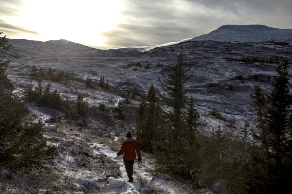 En svak vintersol skinner over Steinmannen
