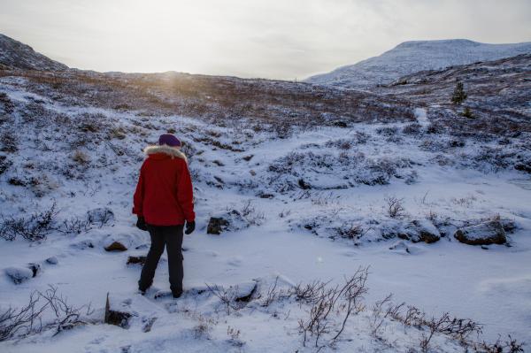 Mon tro hvilket dyr som har laget disse sporene oppover en islagt bekk?